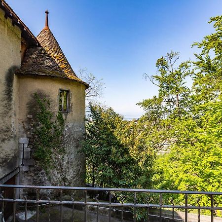Clarens A Castle Spirit Apartment In Chateau Du Chatelard מראה חיצוני תמונה